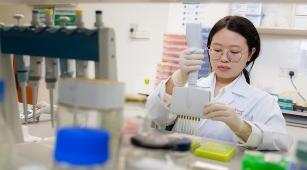 诺丁汉大学马来西亚分校硕士学费一览（2026）