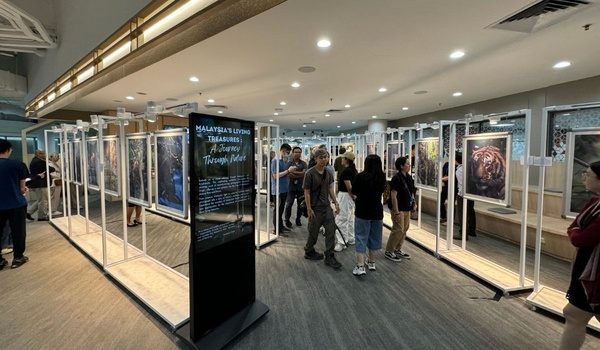 诺丁汉大学马来西亚分校硕士申请流程公开，很多人第一步就做错