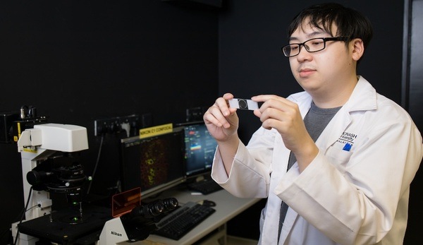 诺丁汉马来西亚分校校区深度解析:含金量到底高不高?